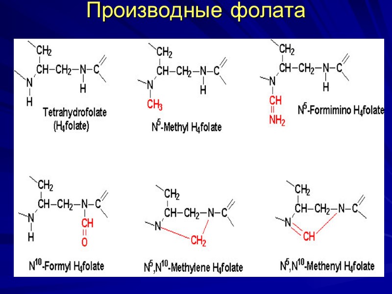 Производные фолата Производные фолата